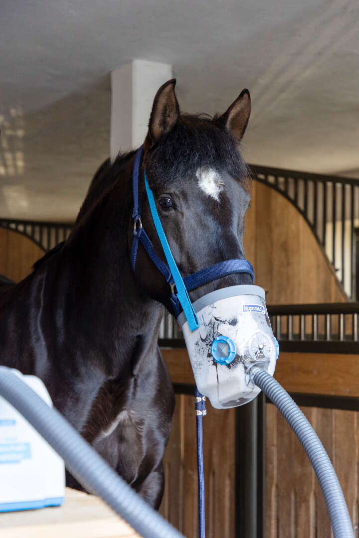 hippomed Ultraschall-Inhalator für Pferde AirOne